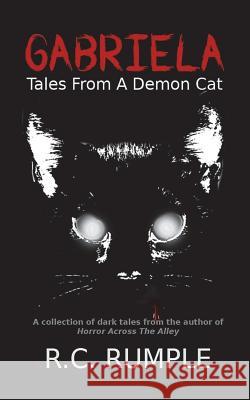 Gabriela: Tales From A Demon Cat Rumple, Richard 9781722320966