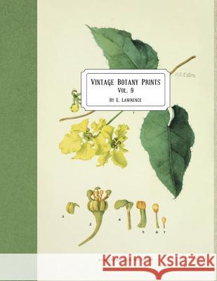 Vintage Botany Prints: Vol. 9 E. Lawrence 9781722424534 Createspace Independent Publishing Platform