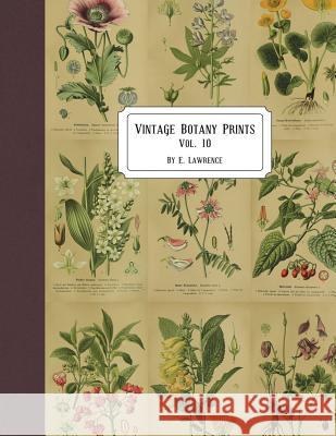 Vintage Botany Prints: Vol. 10 E. Lawrence 9781722499853 Createspace Independent Publishing Platform