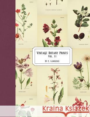 Vintage Botany Prints: Vol. 11 E. Lawrence 9781722761554 Createspace Independent Publishing Platform