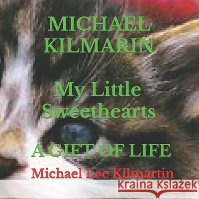 My Little Sweethearts Adventures: Volume One Michael Lee Kilmartin 9781722782573 Createspace Independent Publishing Platform