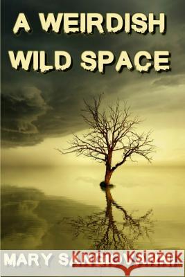A Weirdish Wild Space Mary Sangiovanni 9781722795108 Createspace Independent Publishing Platform