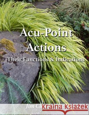 Acu-Point Actions: Their Functions and Indications Jim Cleave 9781723146893 Createspace Independent Publishing Platform