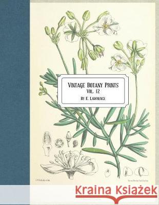 Vintage Botany Prints: Vol. 12 E. Lawrence 9781723177842 Createspace Independent Publishing Platform