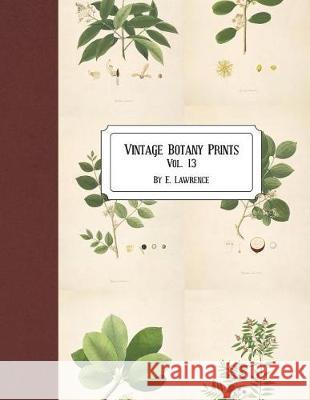 Vintage Botany Prints: Vol. 13 E. Lawrence 9781723184307 Createspace Independent Publishing Platform