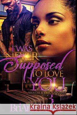 I Was Never Supposed To Love You 3: Meechi & Erica's Story Briann Danae 9781724285157 Createspace Independent Publishing Platform