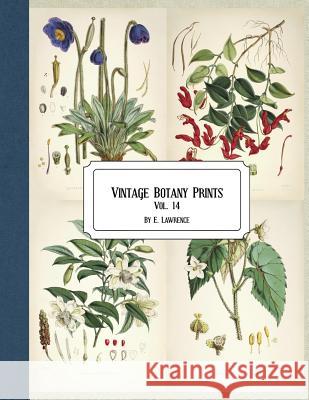 Vintage Botany Prints: Vol. 14 E. Lawrence 9781724534514 Createspace Independent Publishing Platform