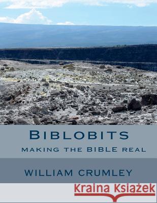 Biblobits: making the Bible real Crumley, William 9781724539465 Createspace Independent Publishing Platform