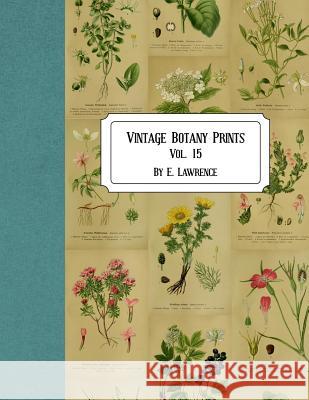 Vintage Botany Prints: Vol. 15 E. Lawrence 9781724833426 Createspace Independent Publishing Platform