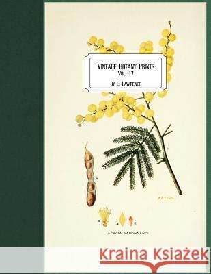 Vintage Botany Prints: Vol. 17 E. Lawrence 9781724878373 Createspace Independent Publishing Platform