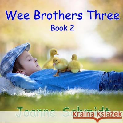 Wee Brothers Three Book 2 Joanne Marie Schmidt 9781724934970