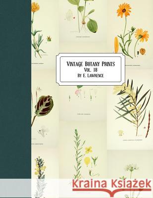 Vintage Botany Prints: Vol. 18 E. Lawrence 9781724936721 Createspace Independent Publishing Platform