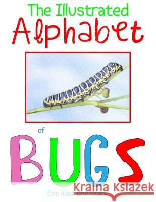 The Illustrated Alphabet of Bugs Eve Heidi Bine-Stock 9781725122260 Createspace Independent Publishing Platform