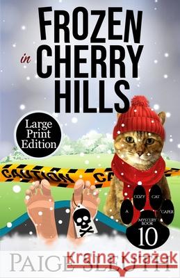 Frozen in Cherry Hills Paige Sleuth 9781725185173 Createspace Independent Publishing Platform