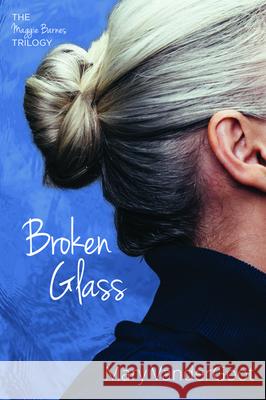 Broken Glass Mary Vandergoot 9781725251373 Resource Publications (CA)