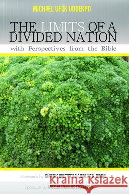 The Limits of a Divided Nation with Perspectives from the Bible Michael Ufok Udoekpo Donatus Udoette Caroline N. Mbonu 9781725256118 Resource Publications (CA)