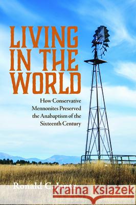Living in the World Ronald C. Jantz 9781725273573 Wipf & Stock Publishers