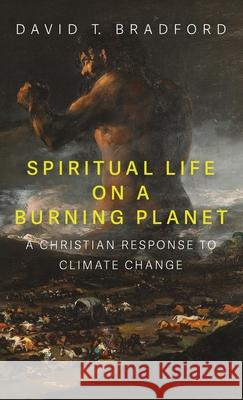 Spiritual Life on a Burning Planet David T. Bradford 9781725282124 Wipf & Stock Publishers