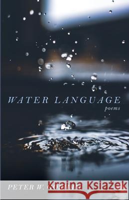 Water Language Peter W. Gorham 9781725288980 Resource Publications (CA)