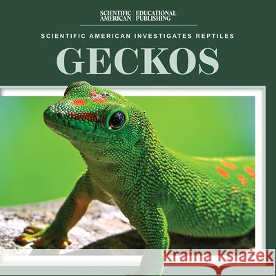 Geckos Jagger Youssef 9781725352865