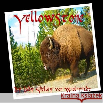 Yellowstone Lady Shelley Vo 9781725500143