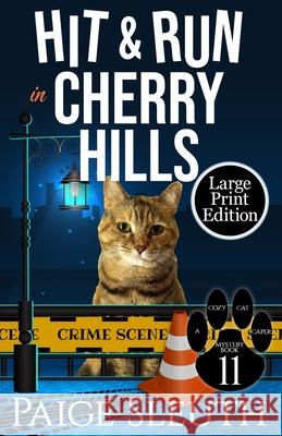 Hit and Run in Cherry Hills Paige Sleuth 9781725580336 Createspace Independent Publishing Platform