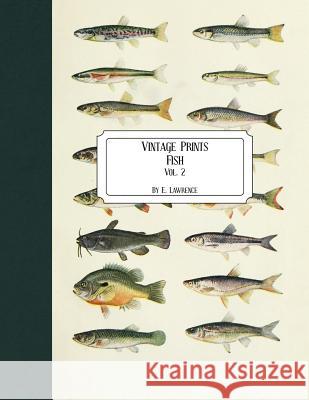 Vintage Prints: Fish: Vol. 2 E. Lawrence 9781726276771 Createspace Independent Publishing Platform