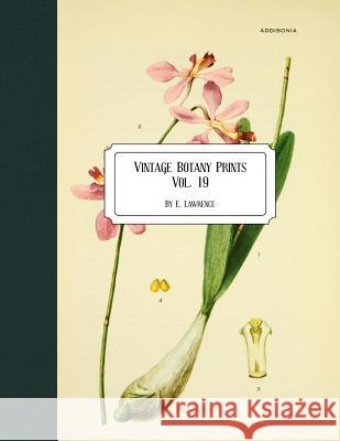 Vintage Botany Prints: Vol. 19 E. Lawrence 9781726278287 Createspace Independent Publishing Platform