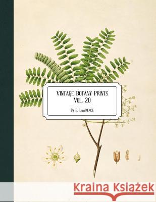 Vintage Botany Prints: Vol. 20 E. Lawrence 9781726308052 Createspace Independent Publishing Platform