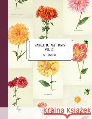 Vintage Botany Prints: Vol. 21 E. Lawrence 9781726309561 Createspace Independent Publishing Platform