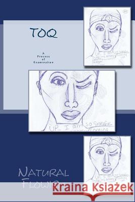 ToQ: A Process of Examination De Ayr, Lavinia 9781726356497 Createspace Independent Publishing Platform