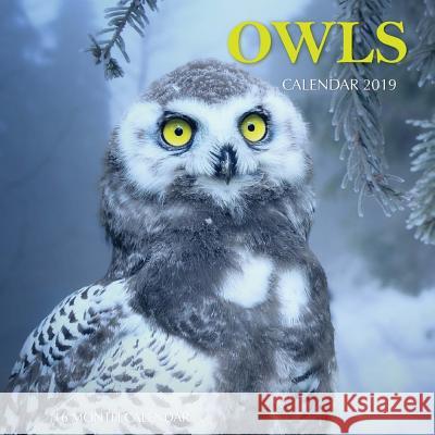 Owls Calendar 2019: 16 Month Calendar Mason Landon 9781726385978