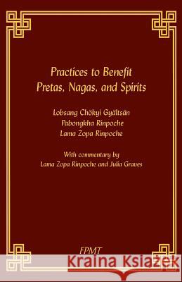 Practices to Benefit Pretas, Nagas and Spirits Lama Zopa Rinpoche, Fpmy 9781726415057