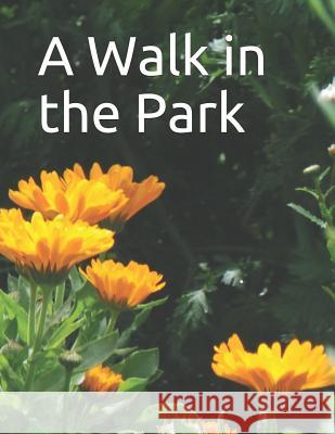 A Walk in the Park: A senior reader picture book for memory care / dementia care Celia Ross 9781726675222