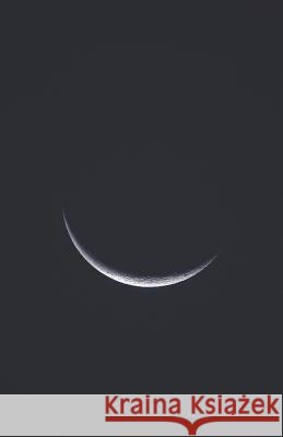 Renovatio Alexander Bergson 9781726807012 Independently Published