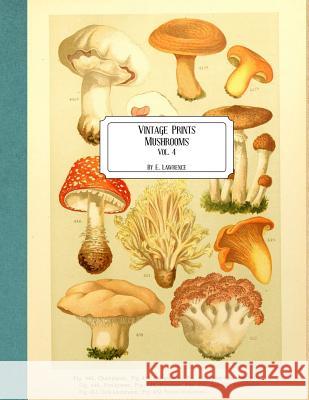 Vintage Prints: Mushrooms: Vol. 4 E. Lawrence 9781727036428 Createspace Independent Publishing Platform