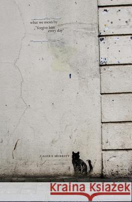 what we mean by forgive him every day Merritt, Caleb E. 9781727158960 Createspace Independent Publishing Platform