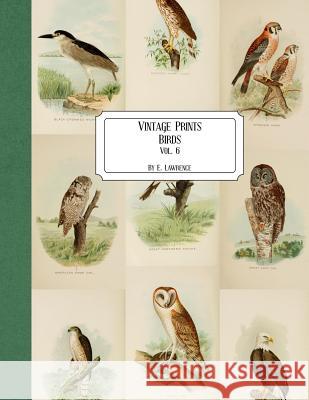 Vintage Prints: Birds: Vol. 6 E. Lawrence 9781727163728 Createspace Independent Publishing Platform