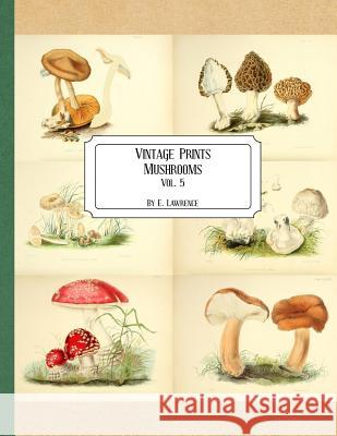 Vintage Prints: Mushrooms: Vol. 5 E. Lawrence 9781727164244 Createspace Independent Publishing Platform