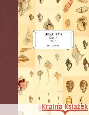 Vintage Prints: Shells: Vol. 2 E. Lawrence 9781727183016 Createspace Independent Publishing Platform