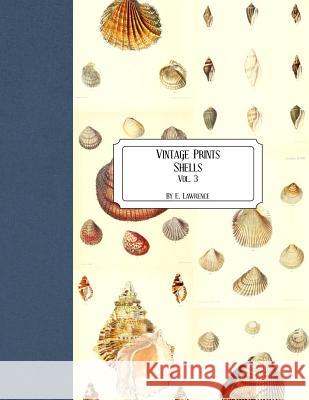 Vintage Prints: Shells: Vol. 3 E. Lawrence 9781727184266 Createspace Independent Publishing Platform