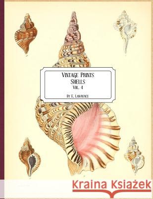 Vintage Prints: Shells: Vol. 4 E. Lawrence 9781727185119 Createspace Independent Publishing Platform