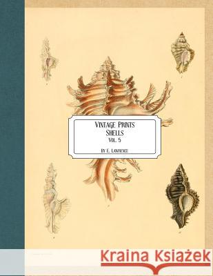 Vintage Prints: Shells: Vol. 5 E. Lawrence 9781727185706 Createspace Independent Publishing Platform