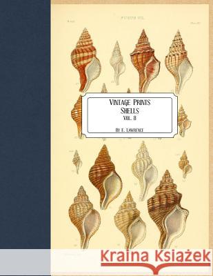 Vintage Prints: Shells: Vol. 8 E. Lawrence 9781727218466 Createspace Independent Publishing Platform