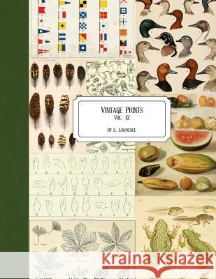 Vintage Prints: Vol. 12 E. Lawrence 9781727254532 Createspace Independent Publishing Platform