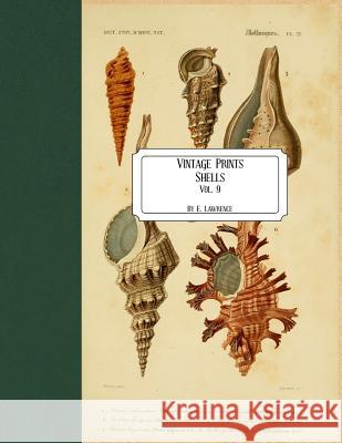 Vintage Prints: Shells: Vol. 9 E. Lawrence 9781727321524 Createspace Independent Publishing Platform