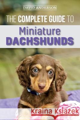 The Complete Guide to Miniature Dachshunds: A step-by-step guide to successfully raising your new Miniature Dachshund David Anderson 9781727339321