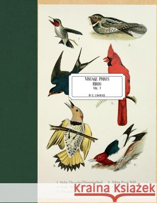 Vintage Prints: Birds: Vol. 7 E. Lawrence 9781727403077 Createspace Independent Publishing Platform