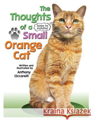 The Thoughts of a Small Orange Cat Anthony Ciccarelli Anthony Ciccarelli 9781727445602