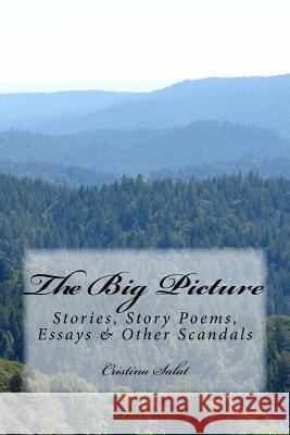 The Big Picture: Stories, Story Poems, Essays & Other Scandals Cristina Salat 9781727628111 Createspace Independent Publishing Platform